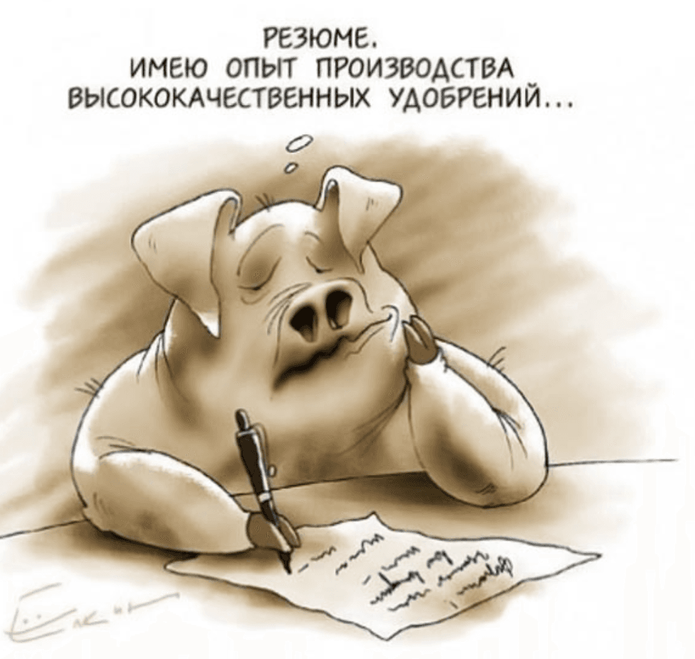 Как составить резюме, чтобы тебя заметили